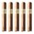 PACK OF 5