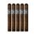PACK OF 5