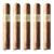PACK OF 5