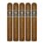 PACK OF 5