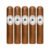 PACK OF 5