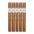 PACK OF 5