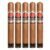 PACK OF 5