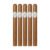 PACK OF 5