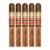 PACK OF 5