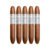 PACK OF 5