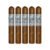 PACK OF 5