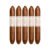 PACK OF 5