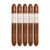 PACK OF 5