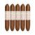 PACK OF 5