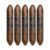 PACK OF 5