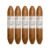 PACK OF 5