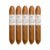 PACK OF 5