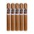 PACK OF 5