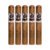 PACK OF 5