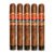 PACK OF 5