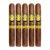 PACK OF 5
