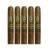 PACK OF 5