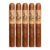 PACK OF 5