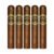 PACK OF 5