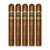 PACK OF 5