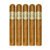 PACK OF 5