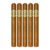PACK OF 5