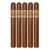 PACK OF 5