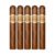 PACK OF 5