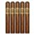 PACK OF 5