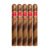 PACK OF 5
