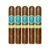 PACK OF 5