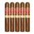PACK OF 5