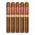 PACK OF 5