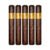 PACK OF 5