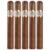 PACK OF 5