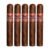 PACK OF 5