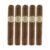 PACK OF 5