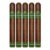 PACK OF 5