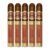 PACK OF 5