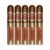 PACK OF 5
