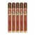 PACK OF 5
