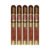 PACK OF 5