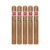 PACK OF 5