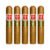 PACK OF 5