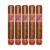 PACK OF 5