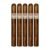 PACK OF 5