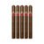 PACK OF 5