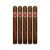 PACK OF 5