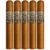 PACK OF 5
